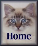 click here to return to Villaroyal Ragdolls home page